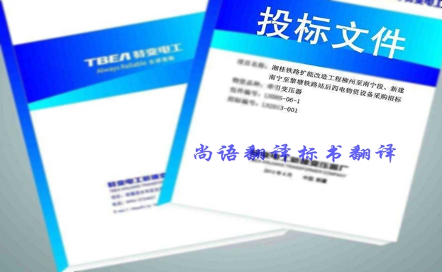 西班牙語投標書翻譯價格要多少錢？收費標準是什么？